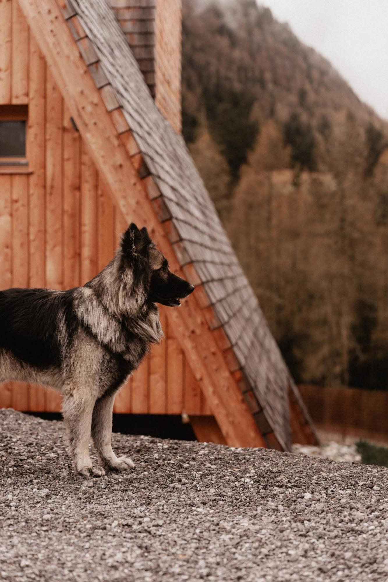 Collis Hill Chalets & Hotel Kals-am Großglockner 외부 사진